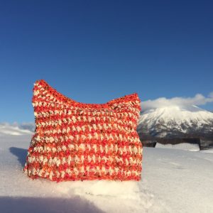 Pussyhat – Mt. Fuji